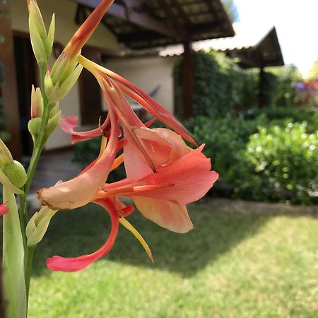 Pousada Rancho Paraiso Porto de Pedras Bagian luar foto